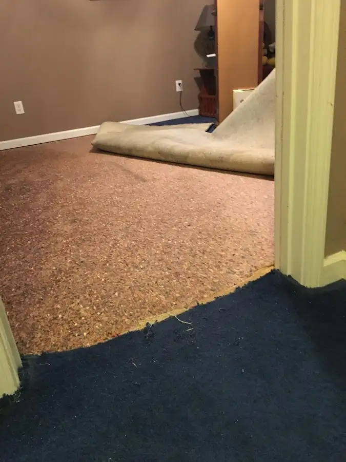 Carpet pad removal revealing water damage during Drying & Dehumidification in George Mason