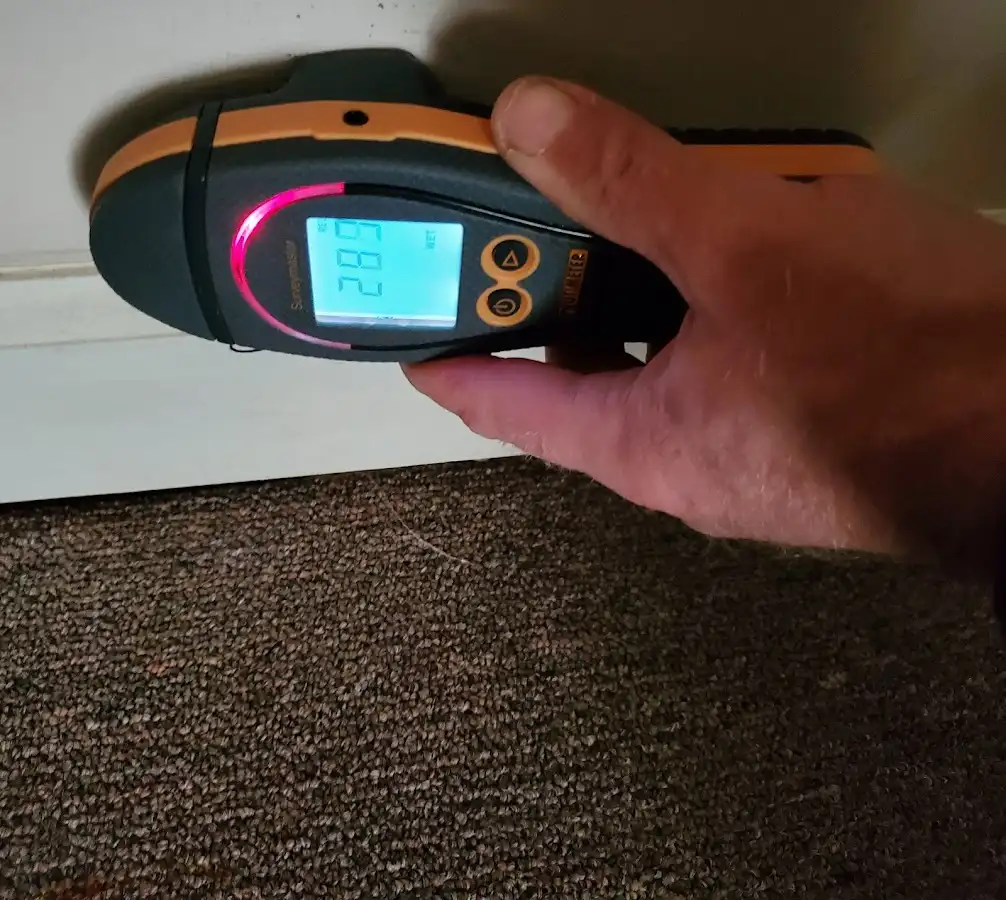 Moisture detection at baseboard during Mold Inspection & Testing in George Mason